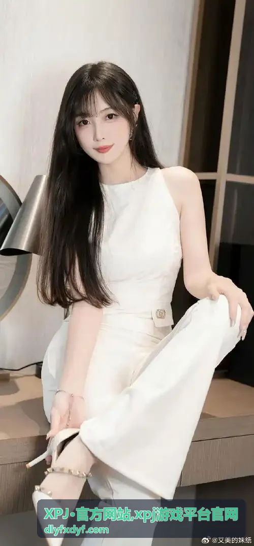 XPJ·官方网站入口说明配图